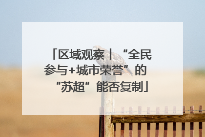 区域观察丨“全民参与+城市荣誉”的“苏超”能否复制