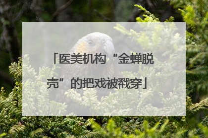 医美机构“金蝉脱壳”的把戏被戳穿