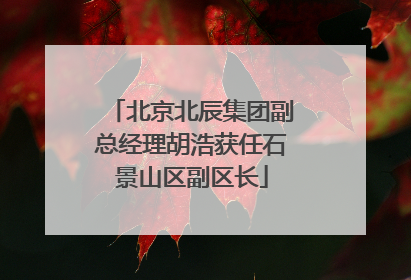 北京北辰集团副总经理胡浩获任石景山区副区长