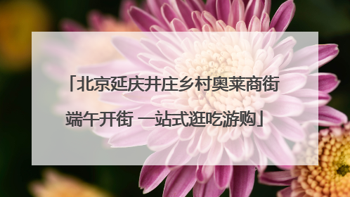 北京延庆井庄乡村奥莱商街端午开街 一站式逛吃游购