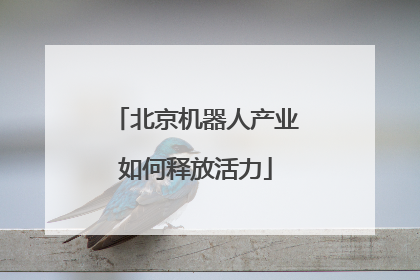 北京机器人产业如何释放活力