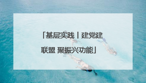 基层实践丨建党建联盟 聚振兴功能