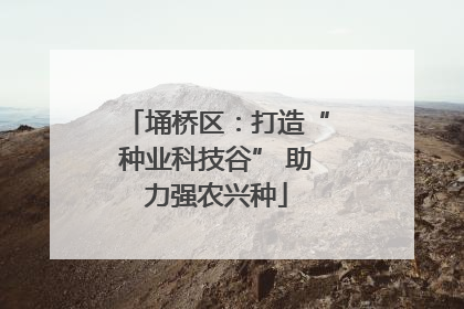埇桥区：打造“种业科技谷” 助力强农兴种