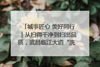 城事匠心 美好同行｜从扫得干净到扫出品质，武昌临江大道“洗”出洁净样板路