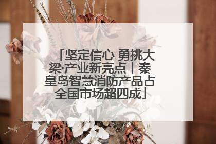 坚定信心 勇挑大梁·产业新亮点丨秦皇岛智慧消防产品占全国市场超四成
