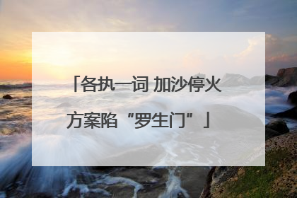 各执一词 加沙停火方案陷“罗生门”