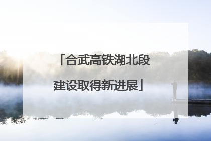 合武高铁湖北段建设取得新进展