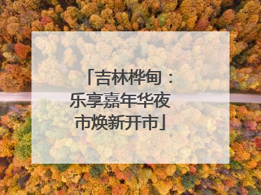 吉林桦甸：乐享嘉年华夜市焕新开市