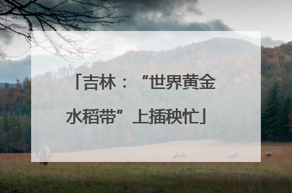 吉林：“世界黄金水稻带”上插秧忙