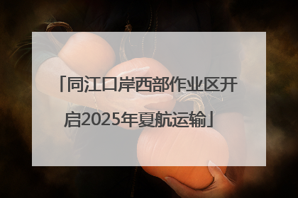 同江口岸西部作业区开启2025年夏航运输