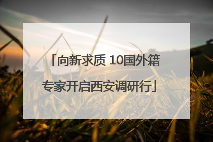 向新求质 10国外籍专家开启西安调研行