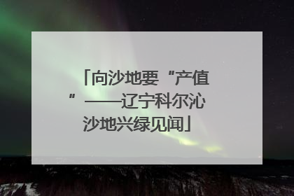 向沙地要“产值”——辽宁科尔沁沙地兴绿见闻