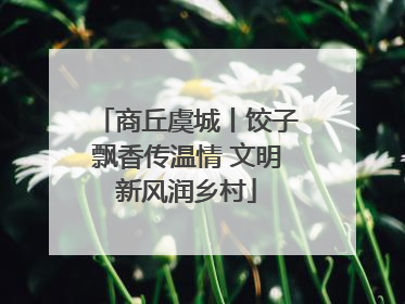 商丘虞城丨饺子飘香传温情 文明新风润乡村