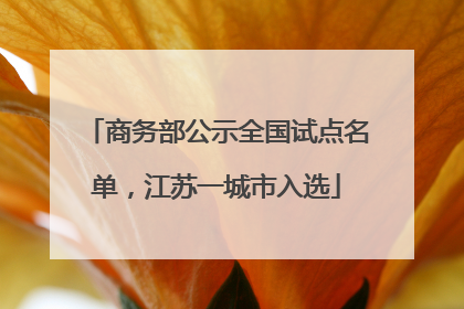 商务部公示全国试点名单，江苏一城市入选