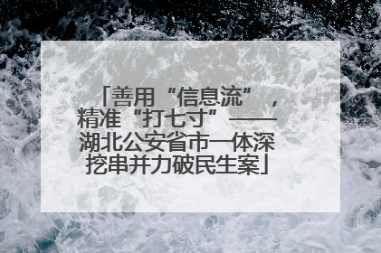 善用“信息流”，精准“打七寸”——湖北公安省市一体深挖串并力破民生案