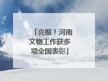 喜报！河南文物工作获多项全国表彰