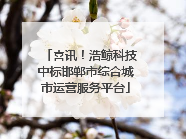 喜讯！浩鲸科技中标邯郸市综合城市运营服务平台