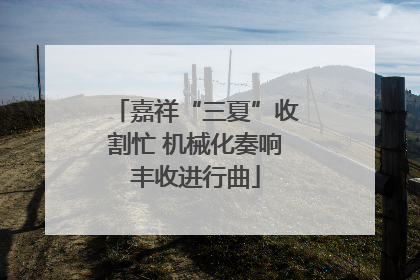 嘉祥“三夏”收割忙 机械化奏响丰收进行曲