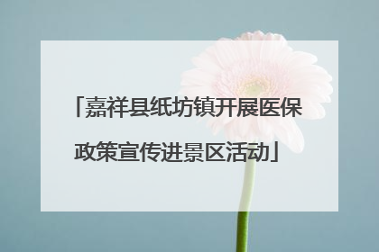 嘉祥县纸坊镇开展医保政策宣传进景区活动