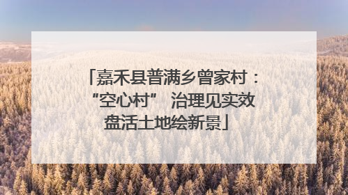 嘉禾县普满乡曾家村：“空心村” 治理见实效 盘活土地绘新景