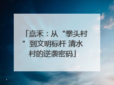 嘉禾：从“拳头村”到文明标杆 清水村的逆袭密码