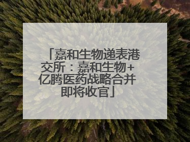 嘉和生物递表港交所：嘉和生物+亿腾医药战略合并即将收官
