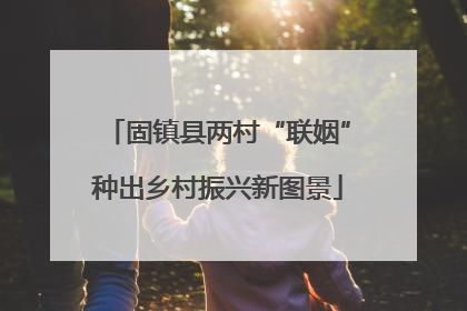 固镇县两村“联姻”种出乡村振兴新图景