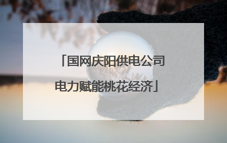 国网庆阳供电公司电力赋能桃花经济