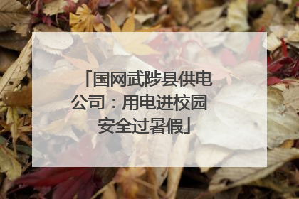 国网武陟县供电公司：用电进校园  安全过暑假