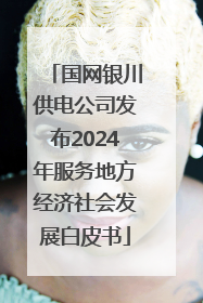 国网银川供电公司发布2024年服务地方经济社会发展白皮书