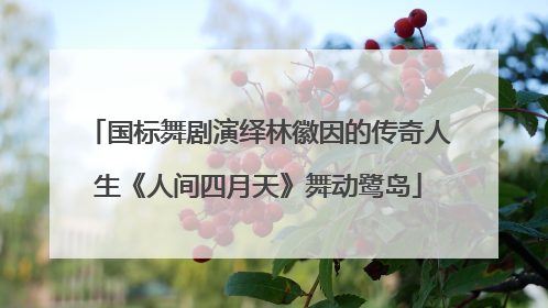 国标舞剧演绎林徽因的传奇人生《人间四月天》舞动鹭岛