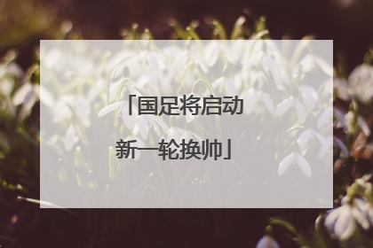 国足将启动新一轮换帅