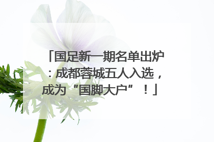 国足新一期名单出炉：成都蓉城五人入选，成为“国脚大户”！