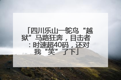 四川乐山一鸵鸟“越狱”马路狂奔，目击者：时速超40码，还对我“笑”了下