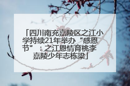 四川南充嘉陵区之江小学持续21年举办“感恩节”：之江恩情育桃李 嘉陵少年志栋梁