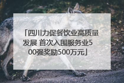 四川力促餐饮业高质量发展 首次入围服务业500强奖励500万元