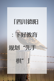 四川德阳：下好教育规划“先手棋”