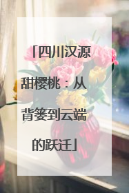 四川汉源甜樱桃：从背篓到云端的跃迁