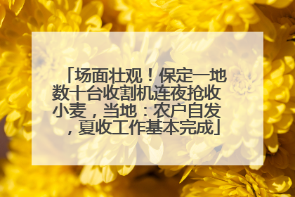 场面壮观！保定一地数十台收割机连夜抢收小麦，当地：农户自发，夏收工作基本完成