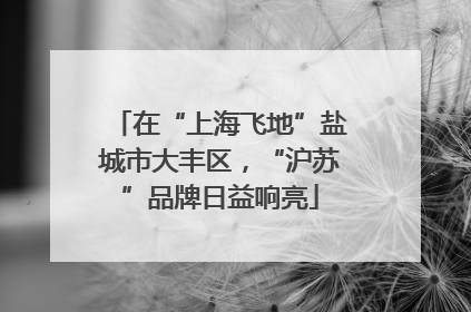 在“上海飞地”盐城市大丰区，“沪苏”品牌日益响亮
