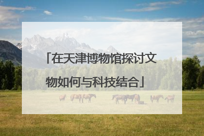 在天津博物馆探讨文物如何与科技结合