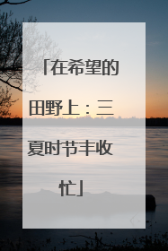 在希望的田野上：三夏时节丰收忙