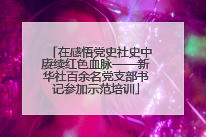 在感悟党史社史中赓续红色血脉——新华社百余名党支部书记参加示范培训