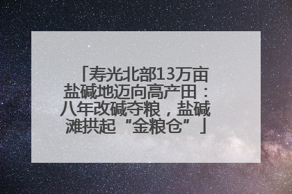 寿光北部13万亩盐碱地迈向高产田：八年改碱夺粮，盐碱滩拱起“金粮仓”