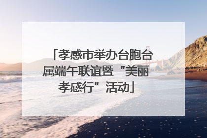 孝感市举办台胞台属端午联谊暨“美丽孝感行”活动