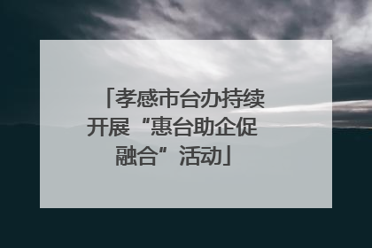 孝感市台办持续开展“惠台助企促融合”活动