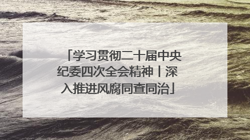 学习贯彻二十届中央纪委四次全会精神丨深入推进风腐同查同治