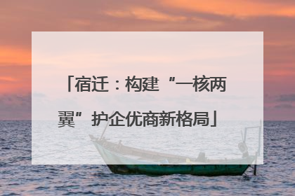 宿迁：构建“一核两翼”护企优商新格局