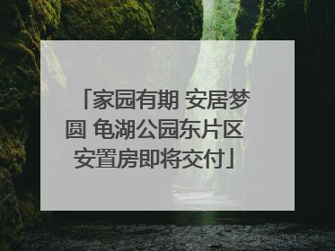 家园有期 安居梦圆 龟湖公园东片区安置房即将交付