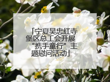 宁夏吴忠红寺堡区总工会开展“携手童行”主题慰问活动